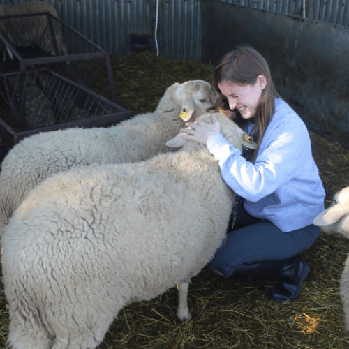 (Foto: Estudiante de Liceo de la especialidad de Cuidado de animales)